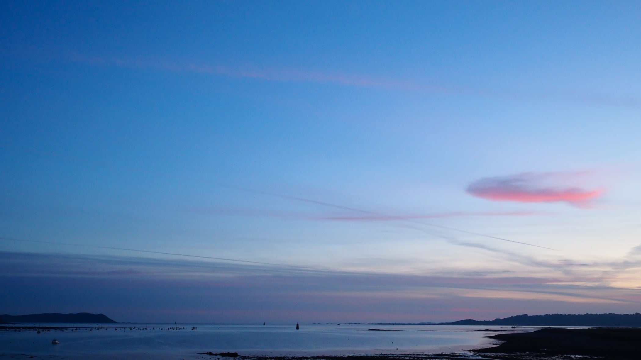 Brittany pink & blue